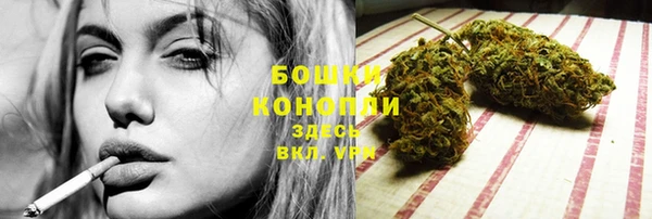 гашик Кодинск