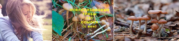 молекула духа Киреевск