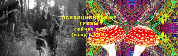 дурь Киренск