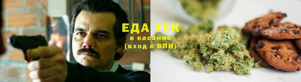 spice Козельск