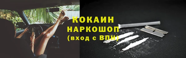 spice Козельск
