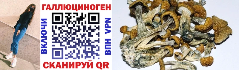 наркошоп  Шиханы  сайты даркнета клад  Псилоцибиновые грибы Magic Shrooms 